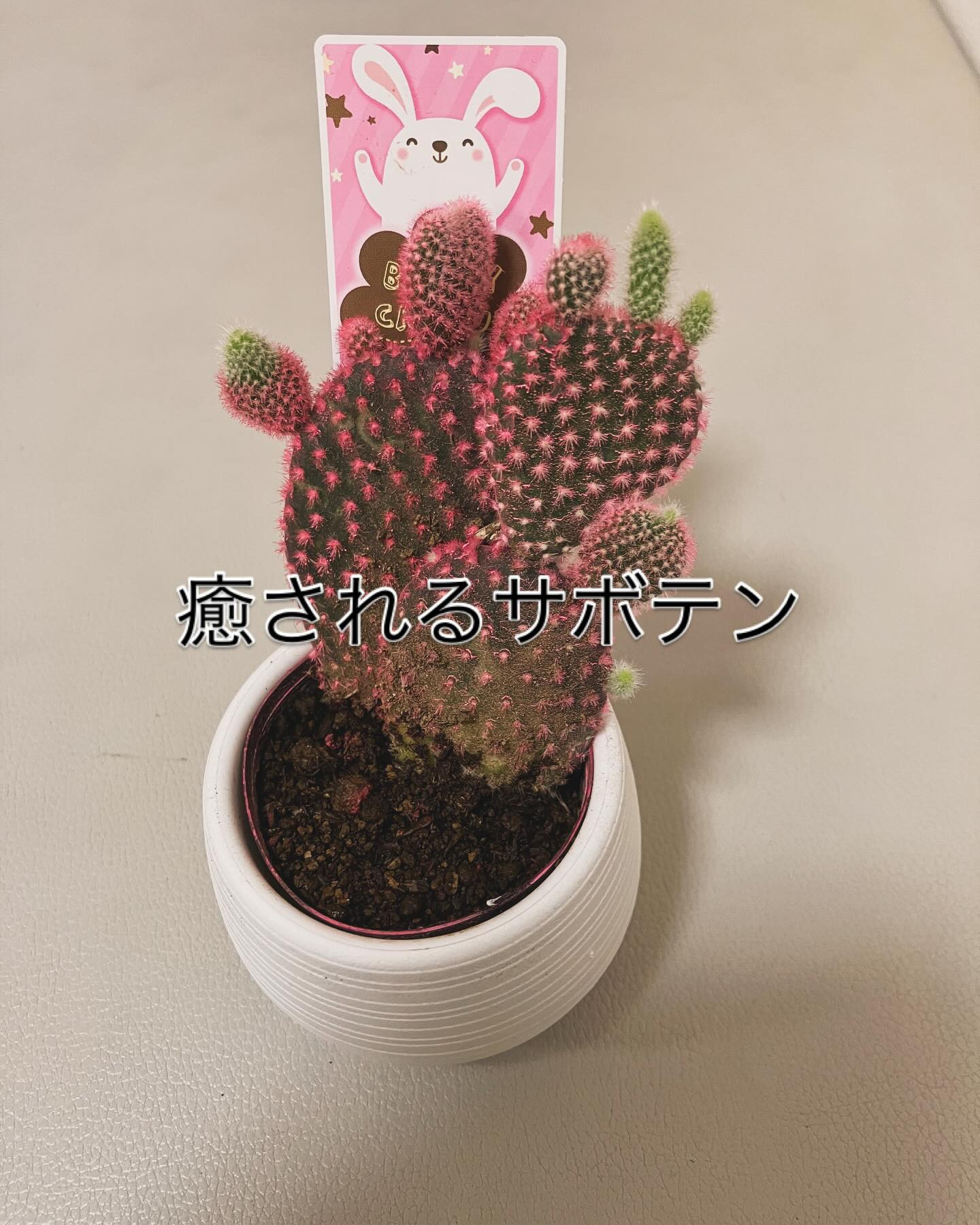 test